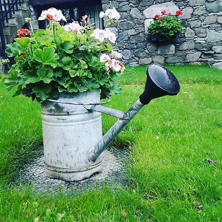 Bed & Breakfast Maison Lazier *