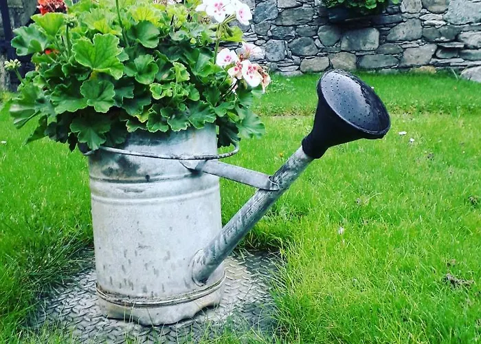 住宿加早餐酒店 Maison Lazier 3*