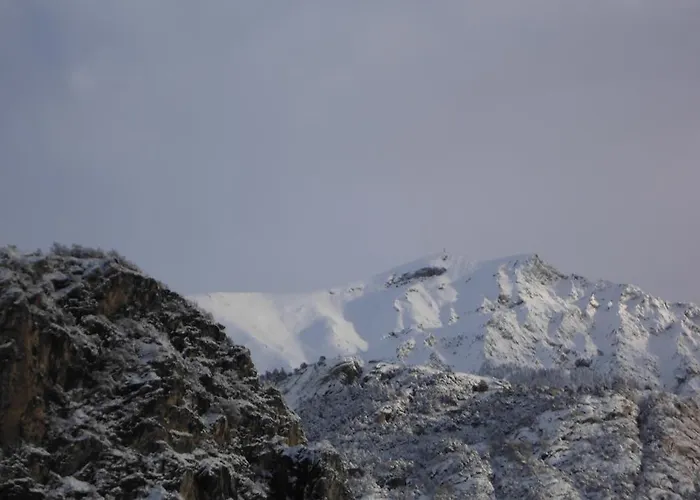 Maison Lazier 住宿加早餐酒店 3*